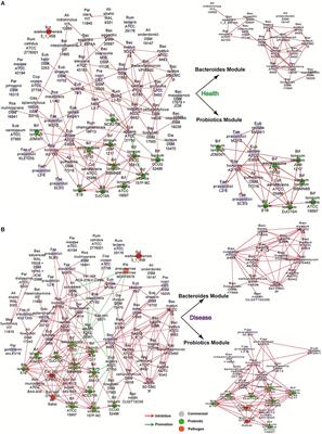 Metabolic Dependencies Underlie Interaction Patterns of Gut Microbiota During Enteropathogenesis